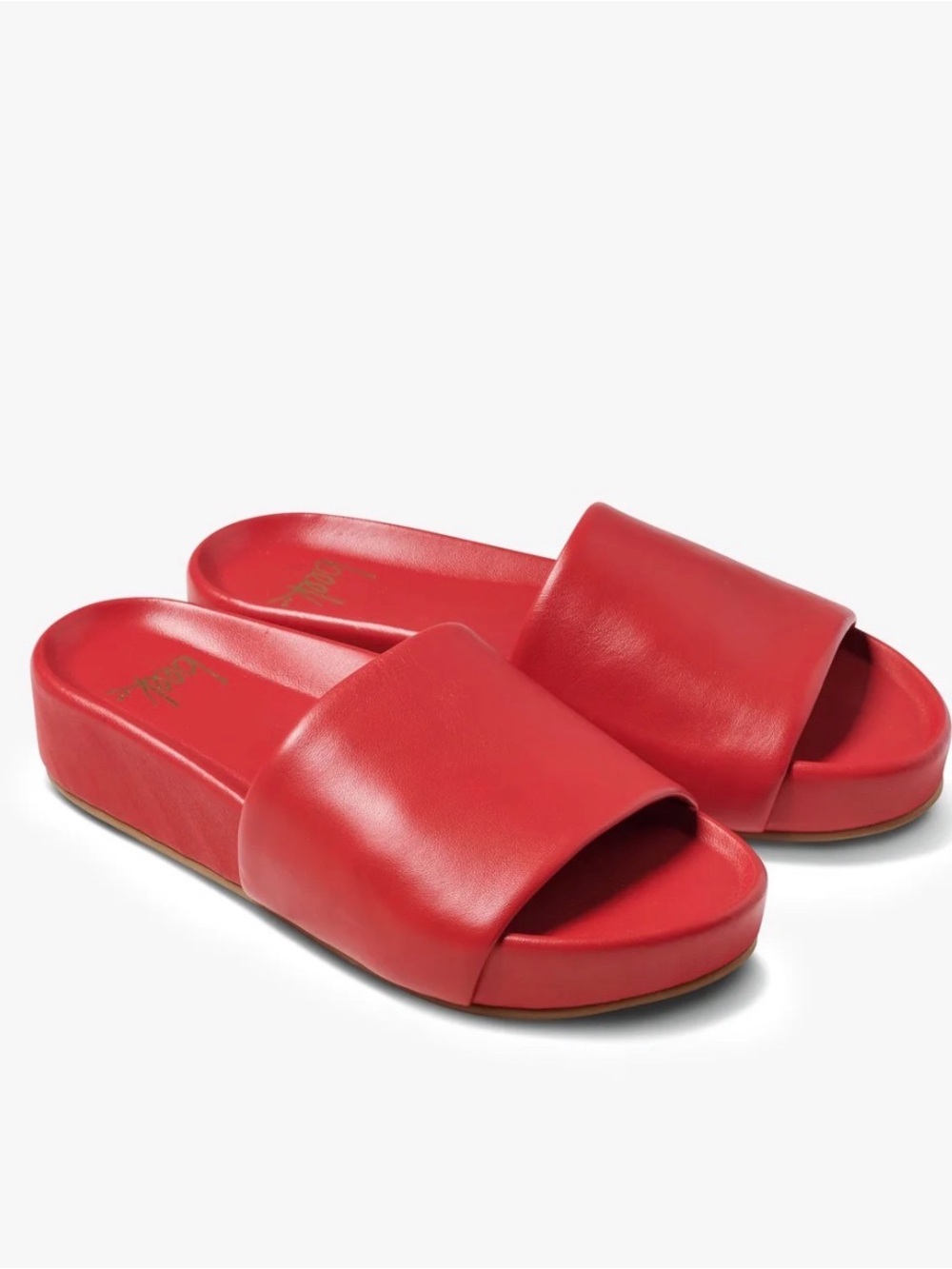Pelican Leather Platform Sandal 7